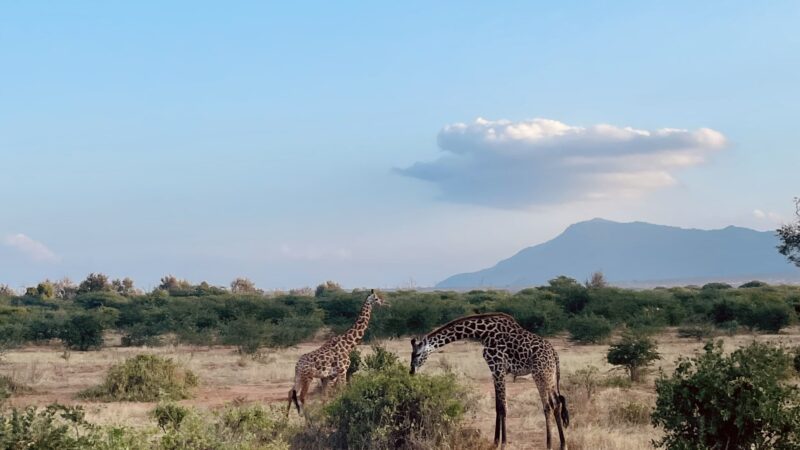 kenia co warto zobaczyć